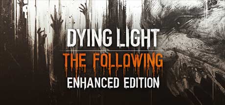 dying light the following reddit